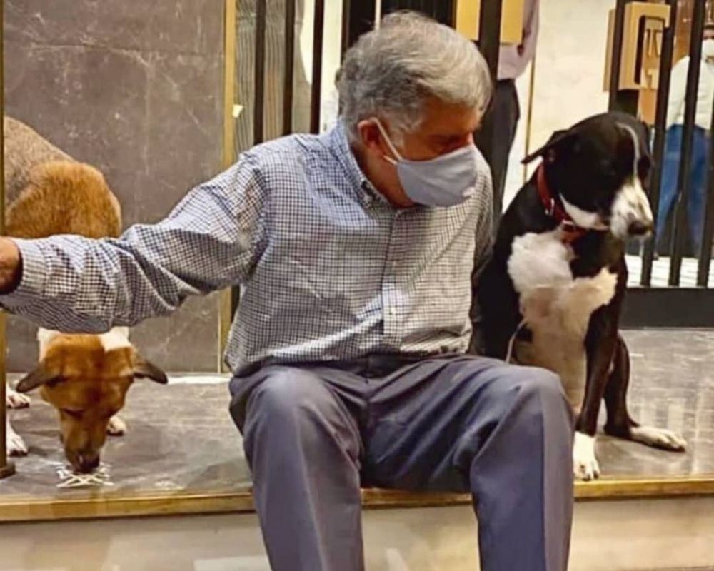 Ratan Tata Make Shelter for Stray Dogs