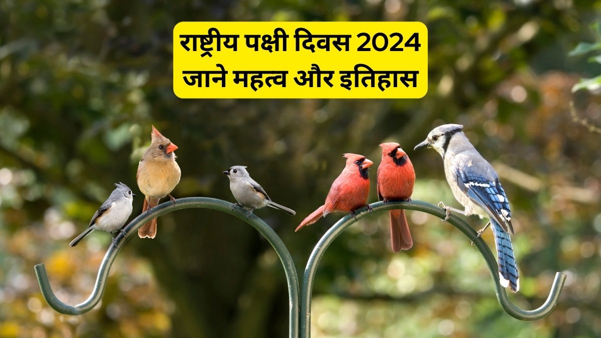 National Bird Day 2024 आज के दिन राष्ट्रीय पक्षी दिवस मनाया जाता है