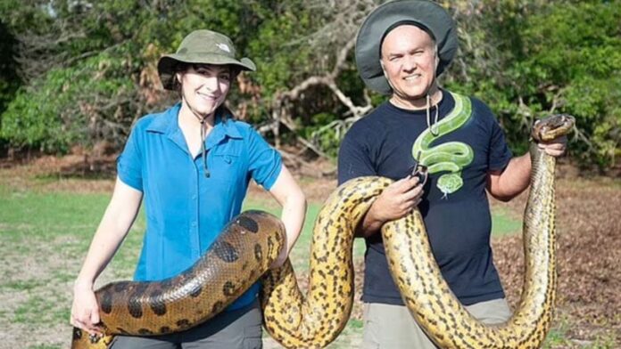 World's Largest Snake Green Anaconda Discovered In Amazon Forest